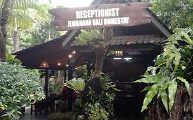 Jembrana Bali Homestay